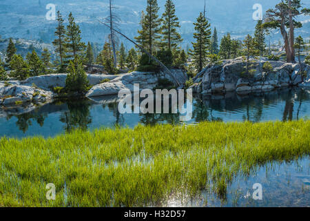 Wasser und Granit am Ufer am See Ropi in der Trostlosigkeit Wildnis, Eldorado National Forest, Kalifornien, USA Stockfoto