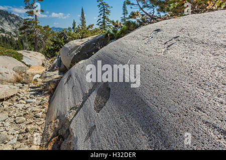 Gletscherschrammen und Glättung der Granit in Verwüstungwildnis, Eldorado National Forest, Kalifornien, USA Stockfoto