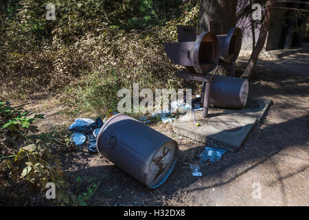 Bearproof Mülleimer auseinander gerissen, ein amerikanischer Schwarzbär Ursus Americanus in Yosemite Nationalpark, Kalifornien, USA Stockfoto