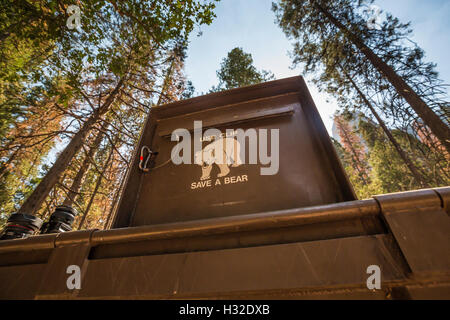 Bearproof Müllcontainer beim Cathedral Beach Picknickplatz im Yosemite Valley, Yosemite-Nationalpark, Kalifornien, USA Stockfoto