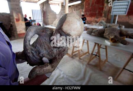 86 Abgüsse von archäologischen Ausgrabungen von Pompeji unterliegen einer Intervention der Erholung und der Wiederherstellung zu anthropologischen Stockfoto