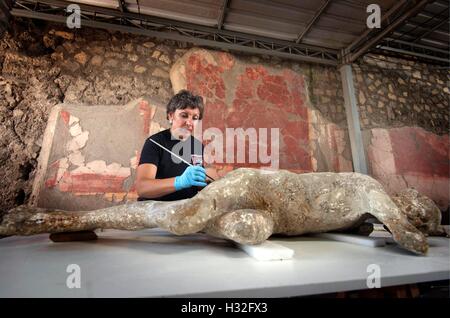 86 Abgüsse von archäologischen Ausgrabungen von Pompeji unterliegen einer Intervention der Erholung und der Wiederherstellung zu anthropologischen Stockfoto