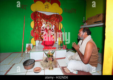 Priester, die Durchführung von Puja, BINJHAWAR Stamm, Vigyavasini Tempel, Rajadiha, Chattisgarh, Indien Stockfoto