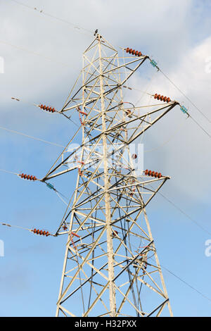 Hochspannungs Strommasten gegen ein bewölkter Himmel Stockfoto