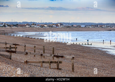 Lokale Fischer in Ferne sammeln Wattwurm für Köder bei Ebbe am Strand von Pevensey Bay in der Nähe von Eastbourne Sussex Stockfoto