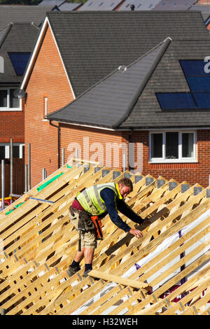 Dachdecker, Arbeiter auf einem Holzdach; Neubau von Häusern, mit Dächern, Dachstühlen, Dachsparren oder Balken, Die Bauarbeiten in Buckshaw Village, in der Nähe von Chorley, Lancashire, Großbritannien, stehen kurz vor der Fertigstellung Stockfoto