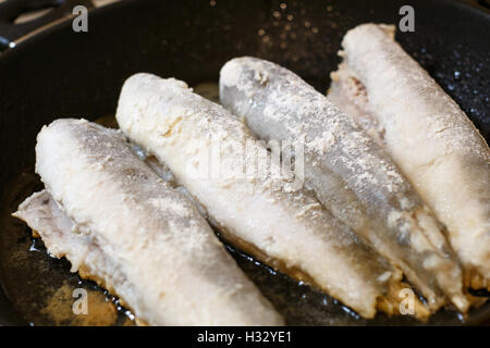 Gebratener Seehecht Fisch Filet in einer Pfanne in Küche Stockfoto