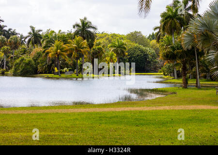 Wiese und Teich in Fairchild Tropical Botanic Garden, Florida, USA Stockfoto