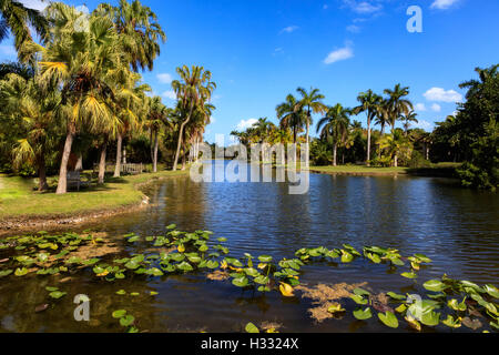 Wiese, Teich und Seerose in Fairchild Tropical Botanic Garden, Florida, USA Stockfoto