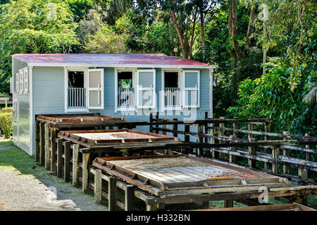 Sklaven-Viertel und hölzernen Kaffee Pfannen, Hacienda Buena Vista, in der Nähe von Ponce, Puerto Rico Stockfoto