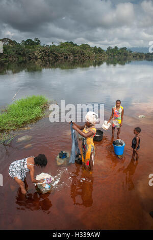 Frauen, die Wäsche im Fluss Ntem, im Regenwald, Campo, südlichen Region, Kamerun Stockfoto