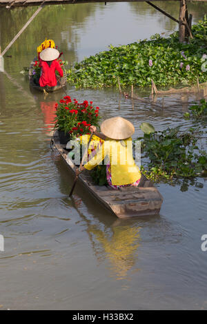 Ernte Blume auf Boot in Vietnam während der Ferien Stockfoto