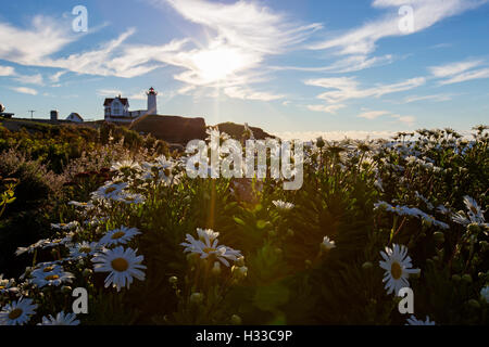 Nubble Light - Cape Neddick Lighthouse - Sohier Park - York Maine Stockfoto