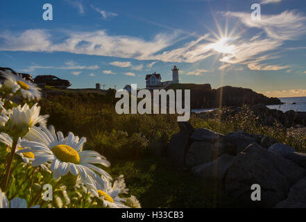 Nubble Light - Cape Neddick Lighthouse - Sohier Park - York Maine Stockfoto