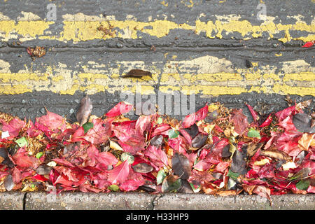 Roten Herbstlaub in Gosse mit gelben Doppellinien UK unterwegs Stockfoto