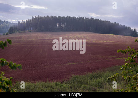 Oktober dunstigen Sonnenuntergang über rot-braune gewellte Hügel Stockfoto