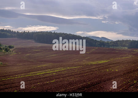 Oktober dunstigen Sonnenuntergang über rot-braune gewellte Hügel Stockfoto