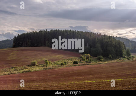 Oktober dunstigen Sonnenuntergang über rot-braune gewellte Hügel Stockfoto