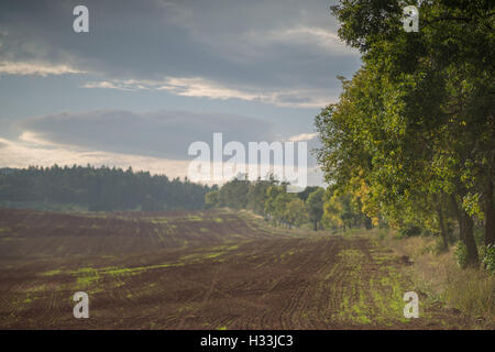 Oktober dunstigen Sonnenuntergang über rot-braune gewellte Hügel Stockfoto