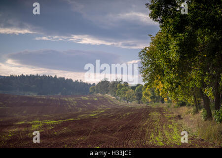 Oktober dunstigen Sonnenuntergang über rot-braune gewellte Hügel Stockfoto