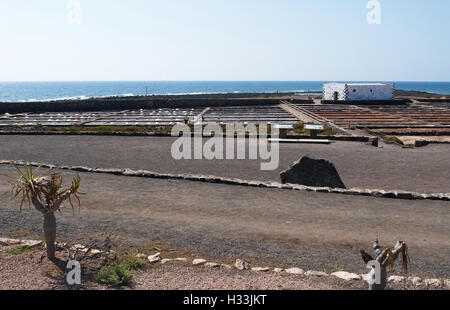 Fuerteventura: die Salinen in Las Salinas del Carmen Stockfoto