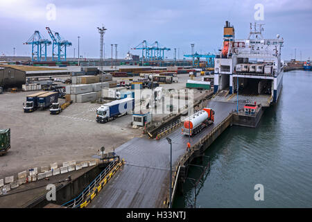 LKW einsteigen in den roll-on/Roll-off / Roro-Fracht Schiff Mv Bore Song von P & O Fähren im Hafen von Zeebrugge, Belgien Stockfoto