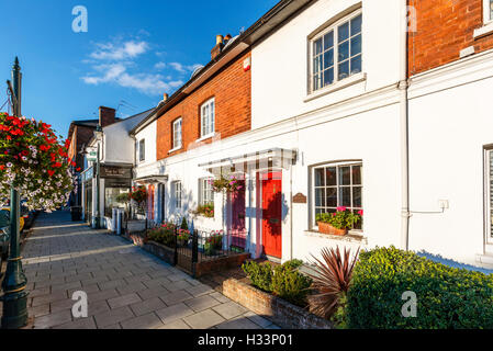 Ziemlich am Straßenrand auf dem Land in einer typischen unberührte Straßenszene in Henley-on-Thames, Oxfordshire, Vereinigtes Königreich Stockfoto