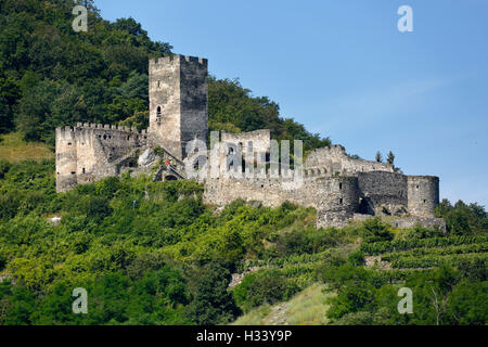 Ruine Hinterhaus Auf Dem Jauerling, Burgruine in Spitz an der Donau, Niederoesterreich, Oesterreich Stockfoto