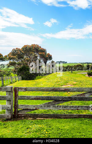 Ein hölzernes Tor auf einem Bauernhof im ländlichen Victoria, Australien. Stockfoto