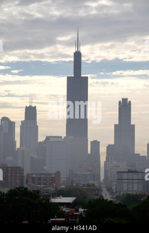 Der Willis Tower (früher Sears Tower) hebt sich an einem warmen Sommermorgen zwischen den berühmten Gebäuden der Skyline von Chicago hervor. Stockfoto