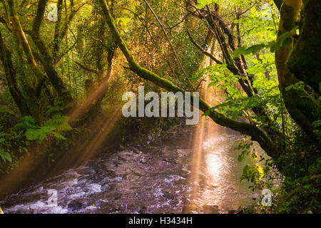 Ein Blick auf den Fluss Wagen in den Wagen Valley Country Park, Aberdare in der Abenddämmerung durch Sonnenstrahlen beleuchtet. Stockfoto