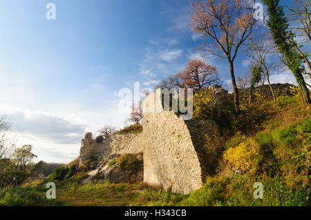 Hainburg an der Donau: Burg Ruinen Röthelstein im Nationalpark Danube-Auen, Donau, Niederösterreich, Niederösterreich, Österreich Stockfoto