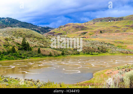 Entdeckt See, auch genannt Ktlil'x, befindet sich eine Kochsalzlösung Laugensee nordwestlich von Osoyoos in der östlichen Similkameen Tal BC Stockfoto