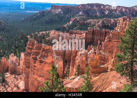 Bryce Canyon National Park, Utah Stockfoto