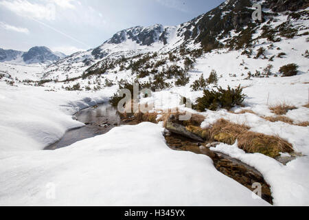 Winterlandschaft in der Retezat Nationalpark, Rumänien Stockfoto