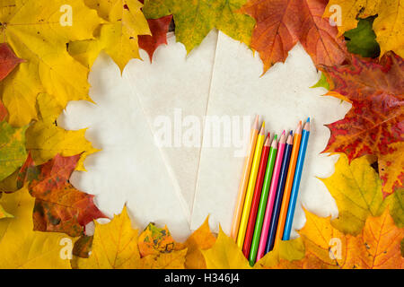 Herbstlaub und Farbstiften auf Papierhintergrund. Textfreiraum. Stockfoto