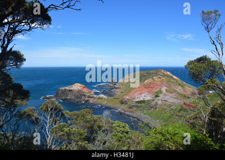 Cape Schanck in Victoria Australien Stockfoto