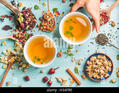 Zwei Tassen gesunde Kräuter-Tee mit Minze, Zimt, getrocknete rose und Kamille blüht in verschiedenen Löffeln, zarte Frauenhand hält eine Tasse über blauem Hintergrund Stockfoto