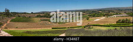 Almenkerk Wine Estate und Weinberge, Elgin Valley, Südafrika Stockfoto