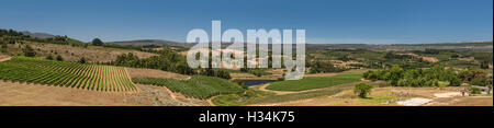 Almenkerk Wine Estate und Weinberge, Elgin Valley, Südafrika Stockfoto