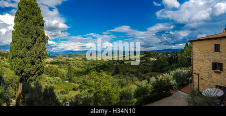 Blick auf Weinberge in Chianti, Toskana, Italien Stockfoto