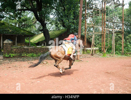 Das Bild des Pferdes Reiten von Touristen in Matheran, Maharashtra, Indien Stockfoto