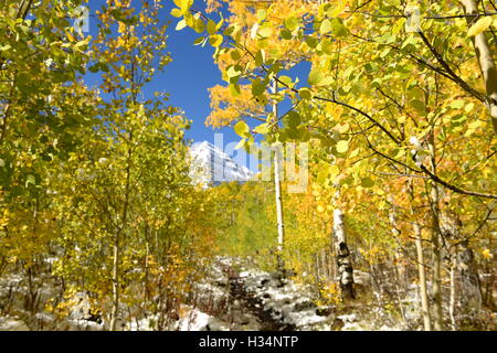 Herbst-Aspen-Trail - Herbst Blick auf verschneite Wanderwege am Fuße des Maroon Bells, Aspen, Colorado, USA. Stockfoto