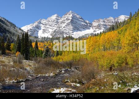 Herbst in Maroon Bells - ein Herbstmorgen Blick auf Maroon Bells und Maroon Creek nach einer Übernachtung Schneesturm. Stockfoto