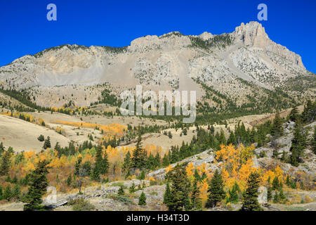 Herbstfarben Sie unterhalb Burg Riff entlang der felsigen Berg in der Nähe von Augusta, montana Stockfoto