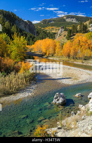 Herbstfarben Sie am Flussufer unterhalb der rocky Mountain Front in der Nähe von Augusta, Montana dearborn Stockfoto