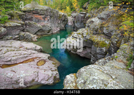 McDonald Creek im Herbst fließt durch eine schmale Schlucht im Glacier National Park, montana Stockfoto