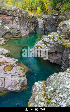 McDonald Creek im Herbst fließt durch eine schmale Schlucht im Glacier National Park, montana Stockfoto