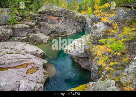 McDonald Creek im Herbst fließt durch eine schmale Schlucht im Glacier National Park, montana Stockfoto