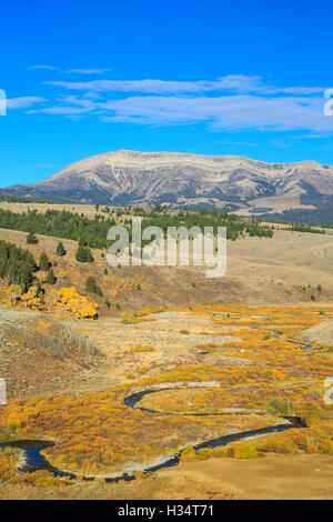 oberen Ruby River im Herbst unter Hogback Berg im Bereich von Snowcrest in der Nähe von Erle, montana Stockfoto